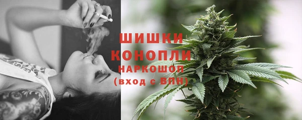 спайс Алексин